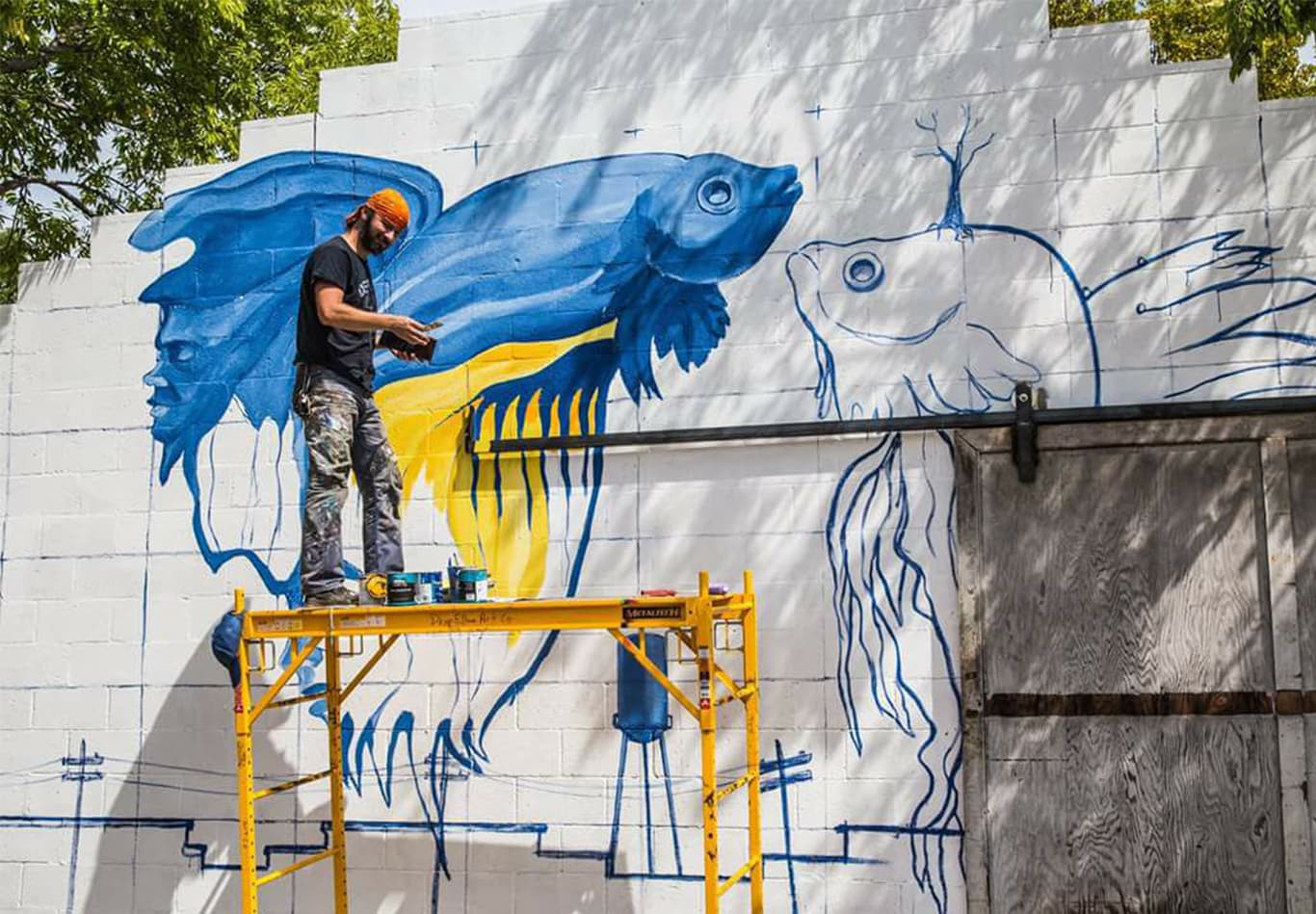 Behind the Brushstroke: Dan Colcer
